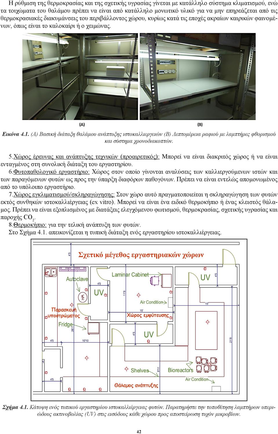 (Α) Βασική διάταξη θαλάμου ανάπτυξης ιστοκαλλιεργειών (Β) Λεπτομέρεια ραφιού με λαμπτήρες φθορισμού και σύστημα χρονοδιακοπτών. 5.