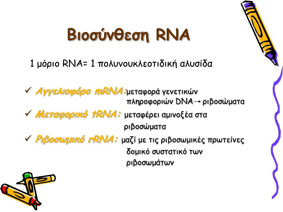 Μεταφορικό trna: μεταφέρει αμινοξέα στα ριβοσώματα Ριβοσωμικό