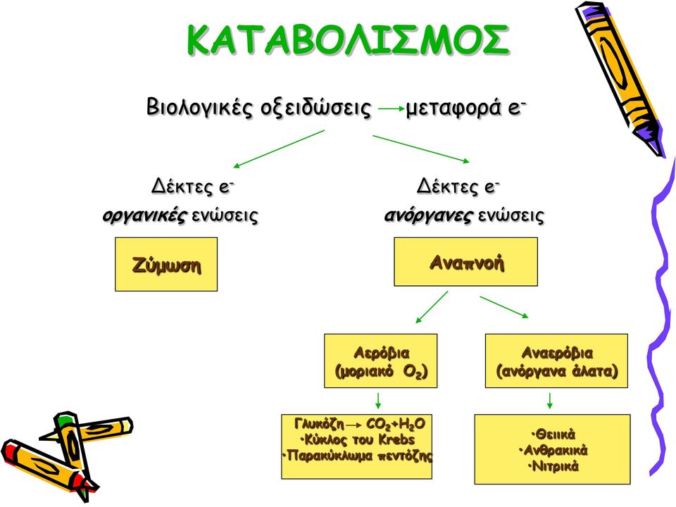 Αερόβια (μοριακό Ο 2 ) Αναερόβια (ανόργανα άλατα) Γλυκόζη CO 2