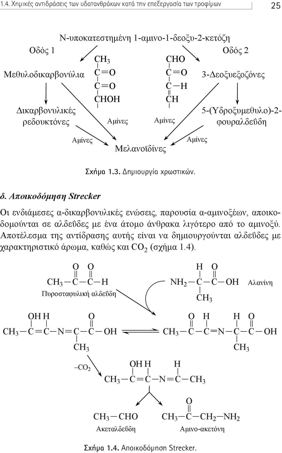 Αποικοδόµηση Strecker Οι ενδιάµεσες α-δικαρβονυλικές ενώσεις, παρουσία α-αµινοξέων, αποικοδοµούνται σε αλδεΰδες µε ένα άτοµο άνθρακα λιγότερο από το αµινοξύ.