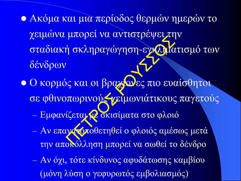 φθινοπωρινούς-χειμωνιάτικους παγετούς Εμφανίζεται με σκισίματα στο φλοιό Αν επανατοποθετηθεί ο