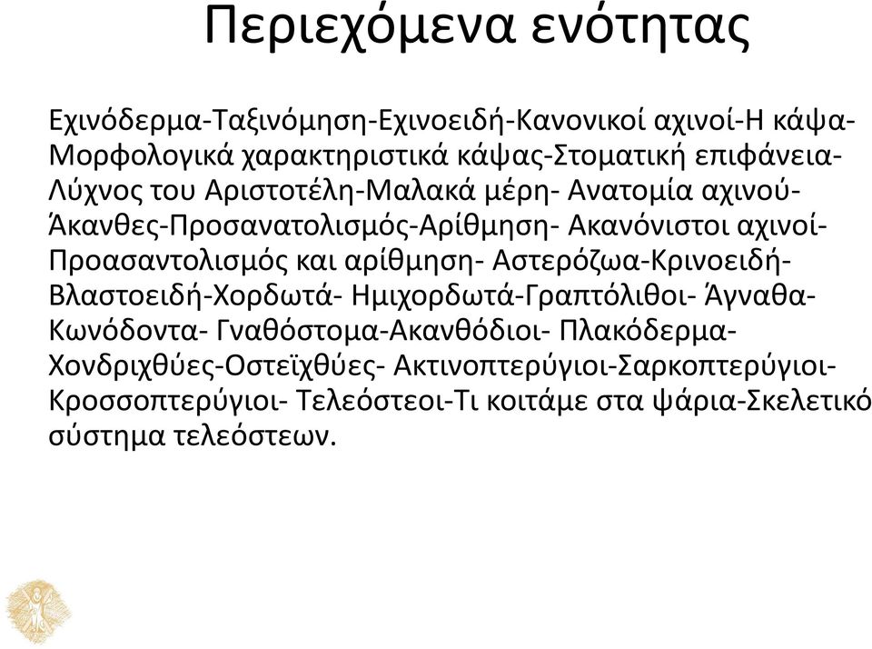 Προασαντολισμός και αρίθμηση- Αστερόζωα-Κρινοειδή- Βλαστοειδή-Χορδωτά- Ημιχορδωτά-Γραπτόλιθοι- Άγναθα- Κωνόδοντα-