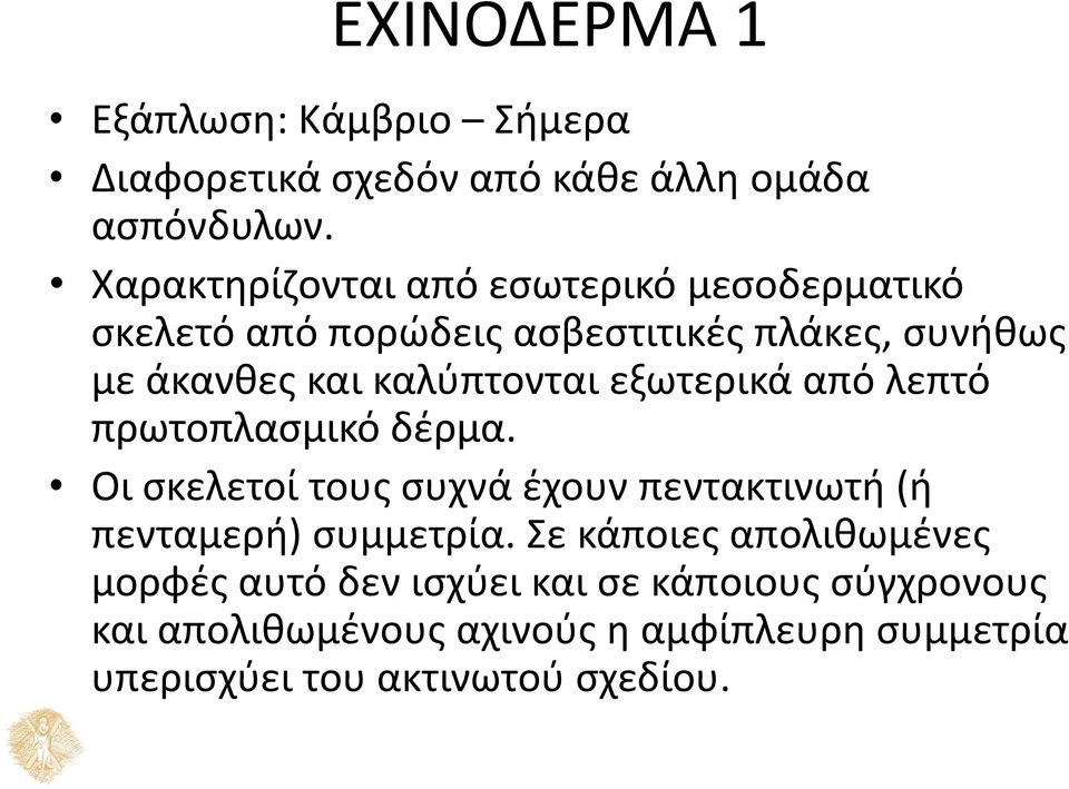 καλύπτονται εξωτερικά από λεπτό πρωτοπλασμικό δέρμα. Οι σκελετοί τους συχνά έχουν πεντακτινωτή (ή πενταμερή) συμμετρία.