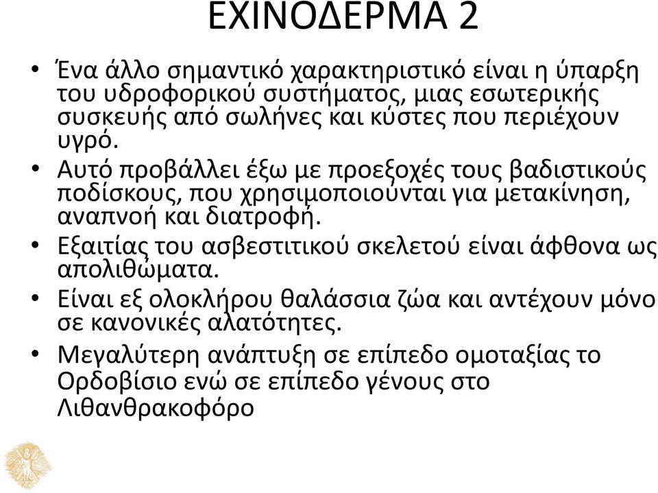 Αυτό προβάλλει έξω με προεξοχές τους βαδιστικούς ποδίσκους, που χρησιμοποιούνται για μετακίνηση, αναπνοή και διατροφή.