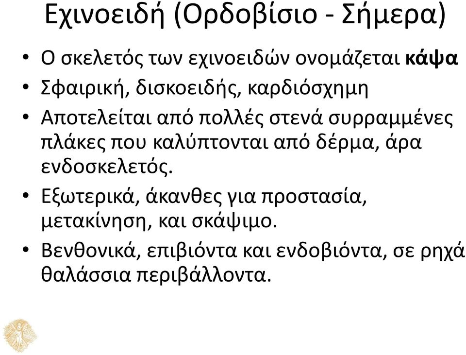 που καλύπτονται από δέρμα, άρα ενδοσκελετός.