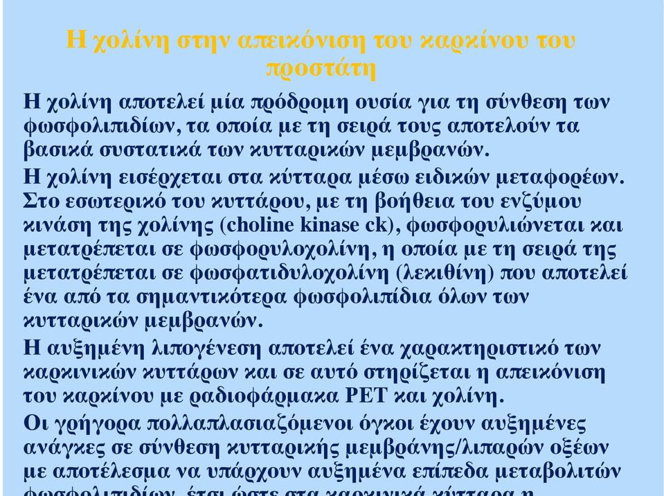 Στο εσωτερικό του κυττάρου, με τη βοήθεια του ενζύμου κινάση της χολίνης (choline kinase ck), φωσφορυλιώνεται και μετατρέπεται σε φωσφορυλοχολίνη, η οποία με τη σειρά της μετατρέπεται σε