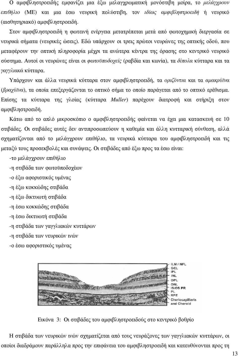 Εδώ υπάρχουν οι τρεις πρώτοι νευρώνες της οπτικής οδού, που µεταφέρουν την οπτική πληροφορία µέχρι τα ανώτερα κέντρα της όρασης στο κεντρικό νευρικό σύστηµα.