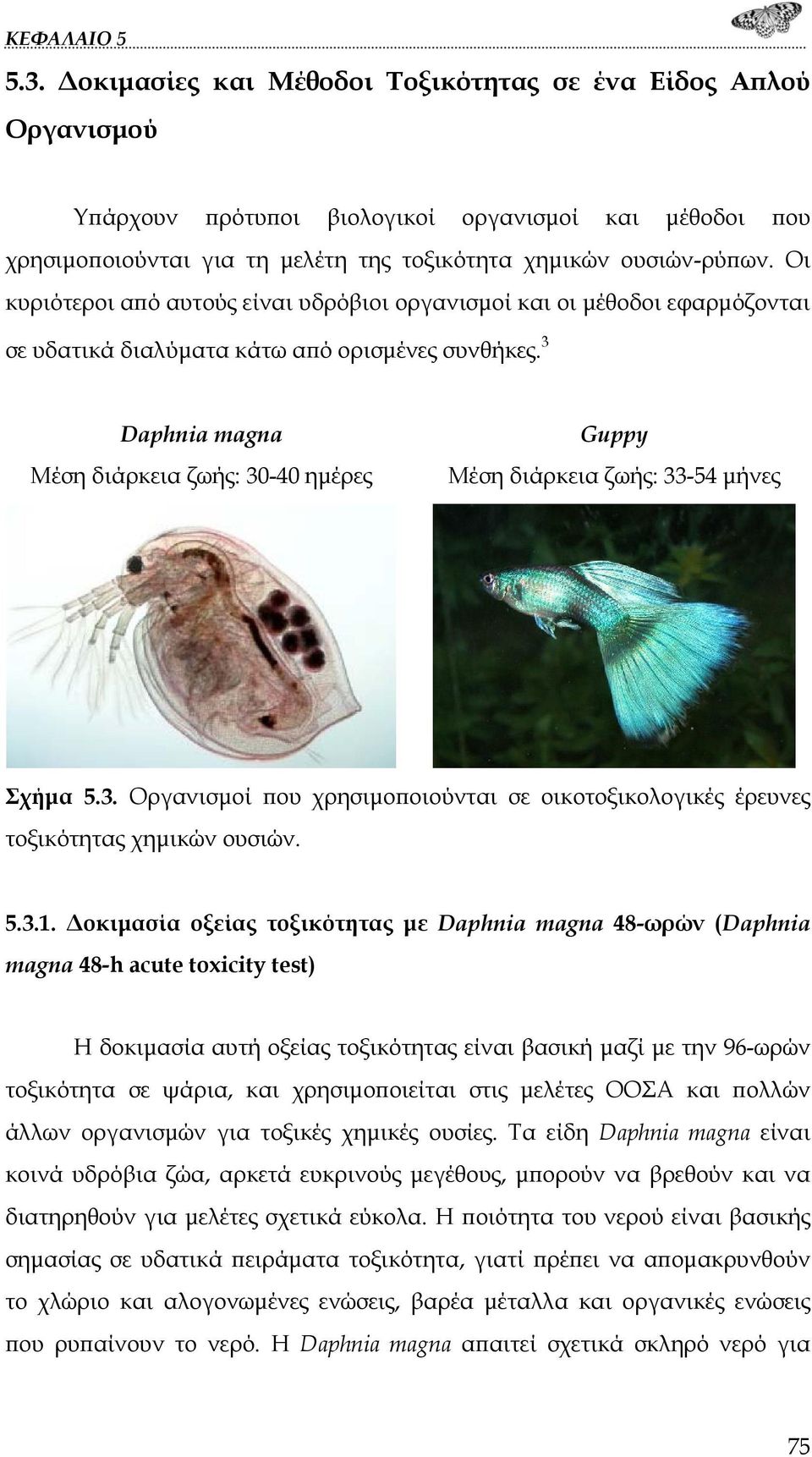 3 Daphnia magna Μέση διάρκεια ζωής: 30-40 ημέρες Guppy Μέση διάρκεια ζωής: 33-54 μήνες Σχήμα 5.3. Οργανισμοί που χρησιμοποιούνται σε οικοτοξικολογικές έρευνες τοξικότητας χημικών ουσιών. 5.3.1.