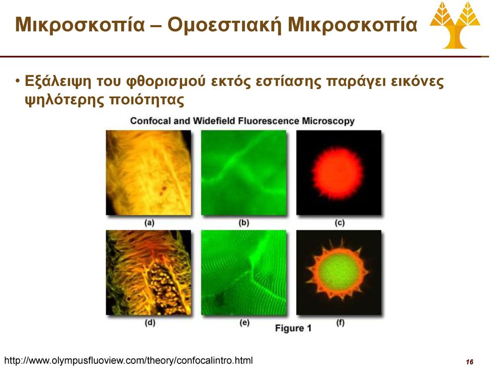 παράγει εικόνες ψηλότερης ποιότητας