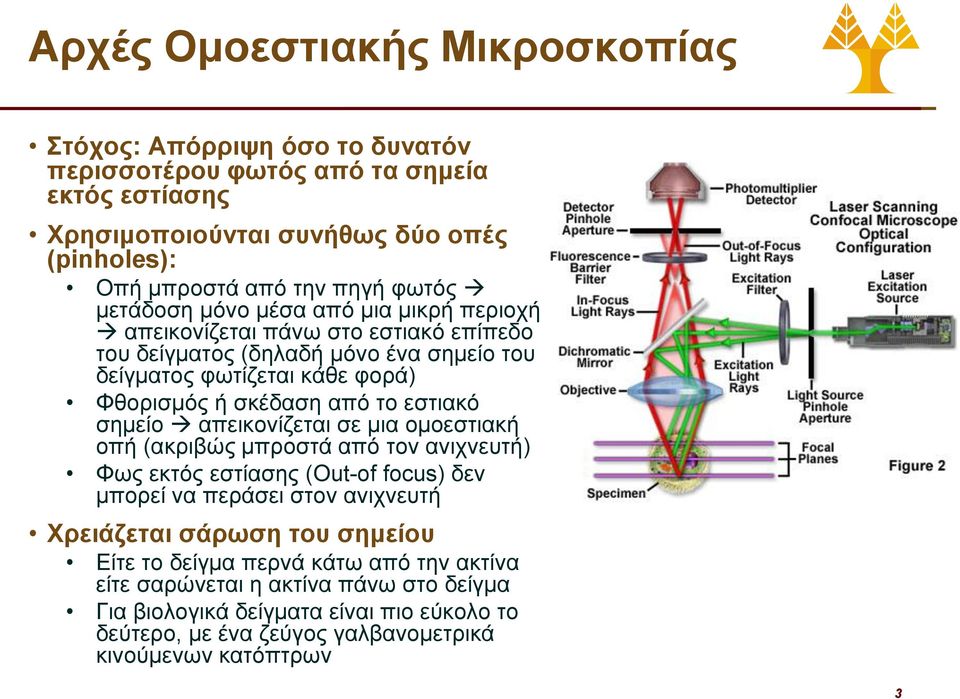 το εστιακό σημείο απεικονίζεται σε μια ομοεστιακή οπή (ακριβώς μπροστά από τον ανιχνευτή) Φως εκτός εστίασης (Out-of focus) δεν μπορεί να περάσει στον ανιχνευτή Χρειάζεται σάρωση του