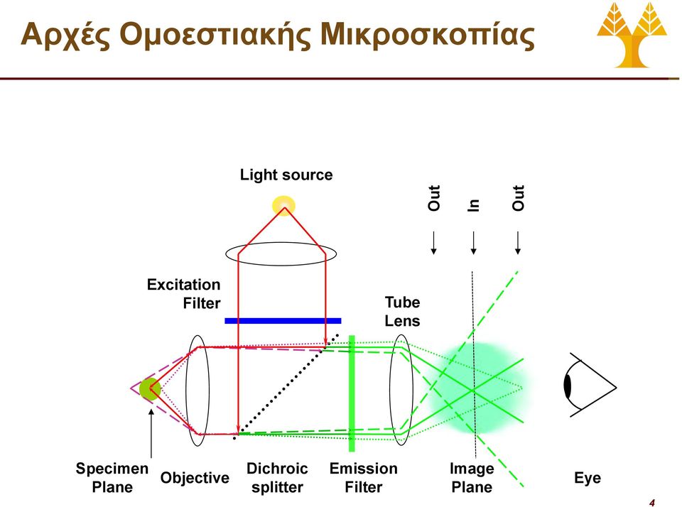 Filter Tube Lens Specimen Plane