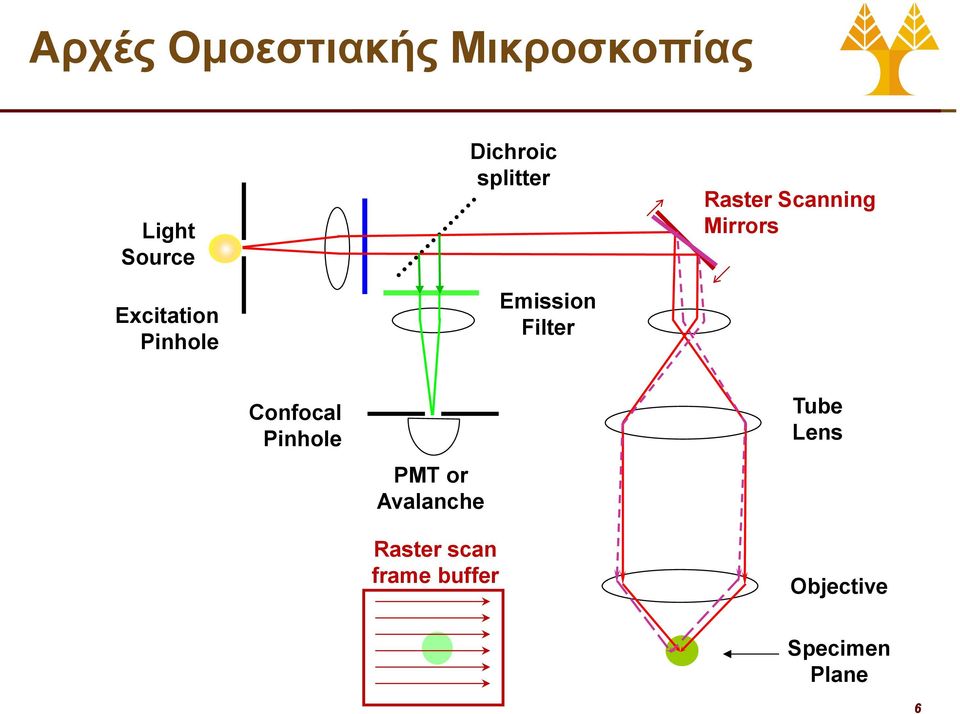 Raster Scanning Mirrors Confocal Pinhole PMT or