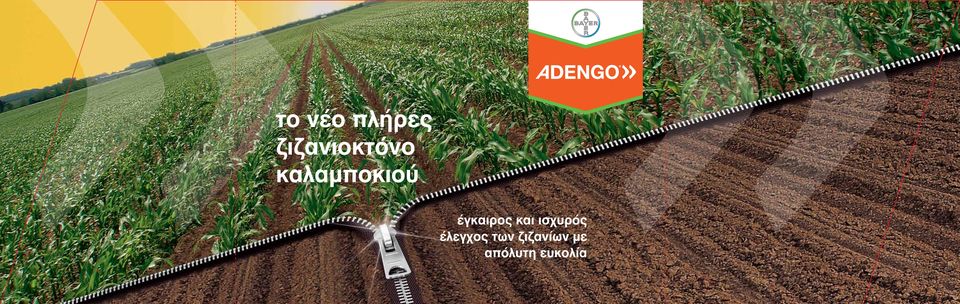 έγκαιρος και ισχυρός