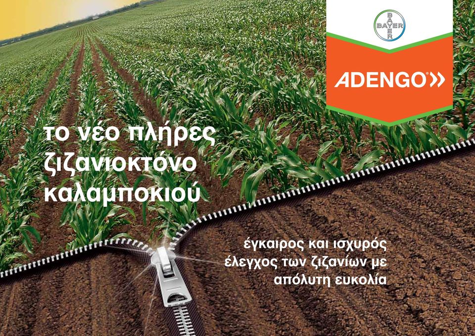 έγκαιρος και ισχυρός