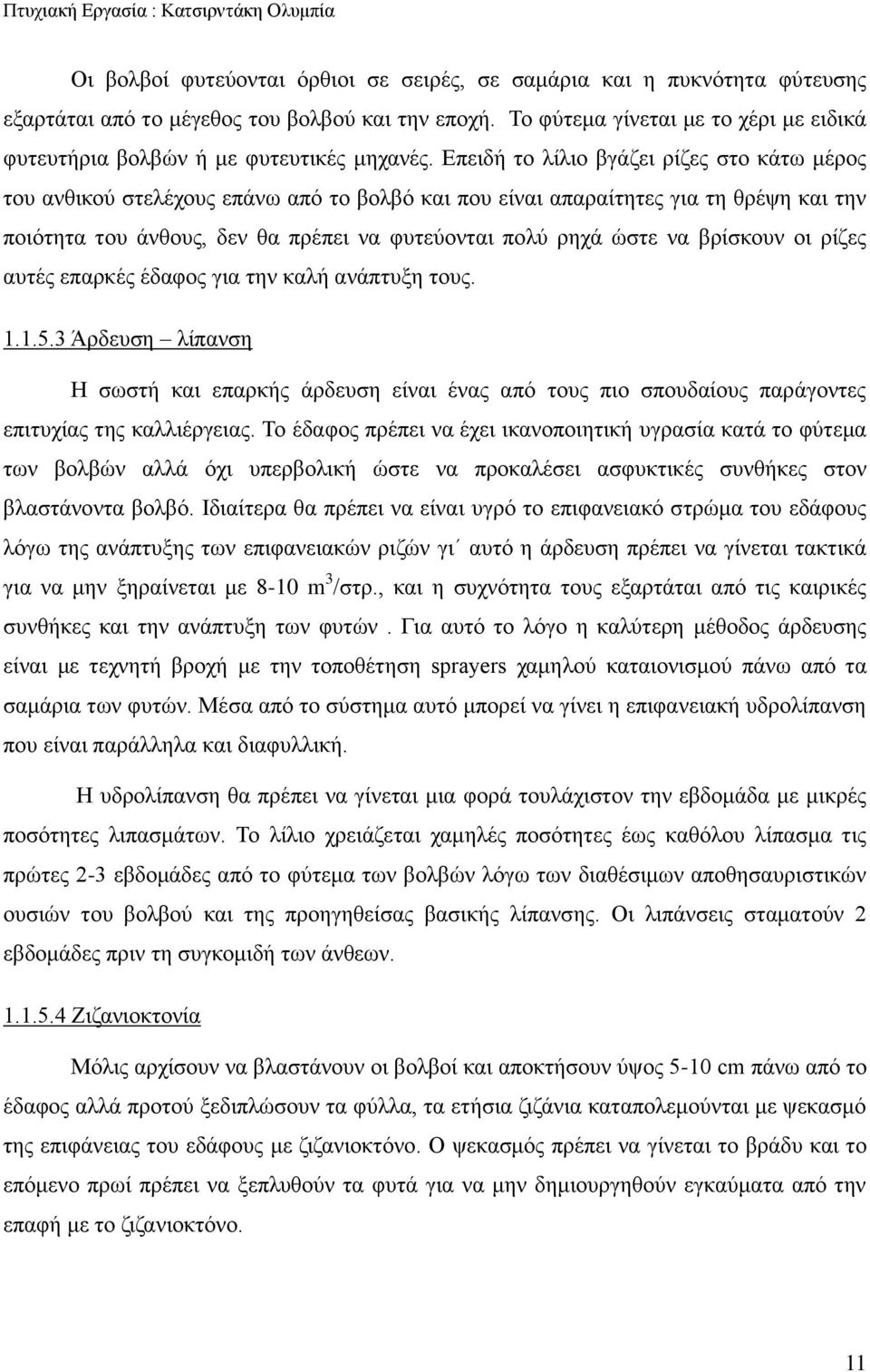 Επειδή το λίλιο βγάζει ρίζες στο κάτω μέρος του ανθικού στελέχους επάνω από το βολβό και που είναι απαραίτητες για τη θρέψη και την ποιότητα του άνθους, δεν θα πρέπει να φυτεύονται πολύ ρηχά ώστε να