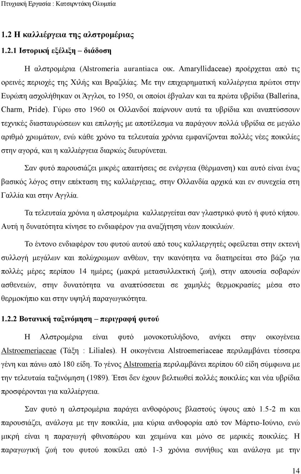 Γύρω στο 1960 οι Ολλανδοί παίρνουν αυτά τα υβρίδια και αναπτύσσουν τεχνικές διασταυρώσεων και επιλογής με αποτέλεσμα να παράγουν πολλά υβρίδια σε μεγάλο αριθμό χρωμάτων, ενώ κάθε χρόνο τα τελευταία