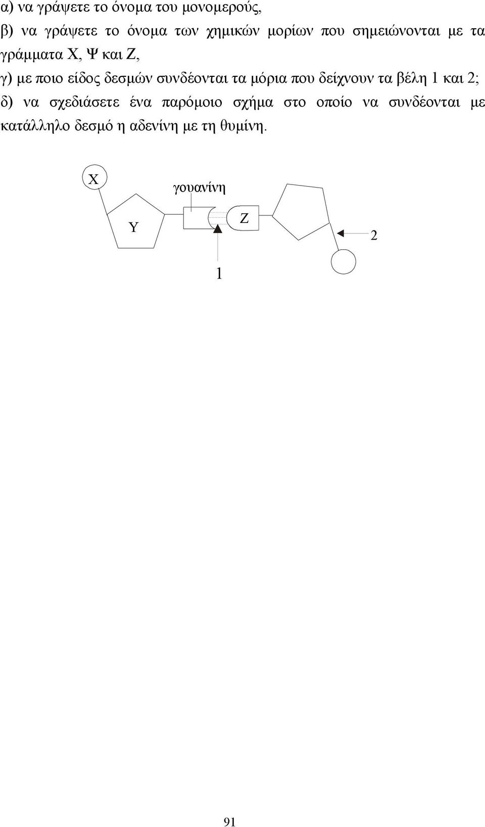 τα µόρια που δείχνουν τα βέλη 1 και 2; δ) να σχεδιάσετε ένα παρόµοιο σχήµα στο