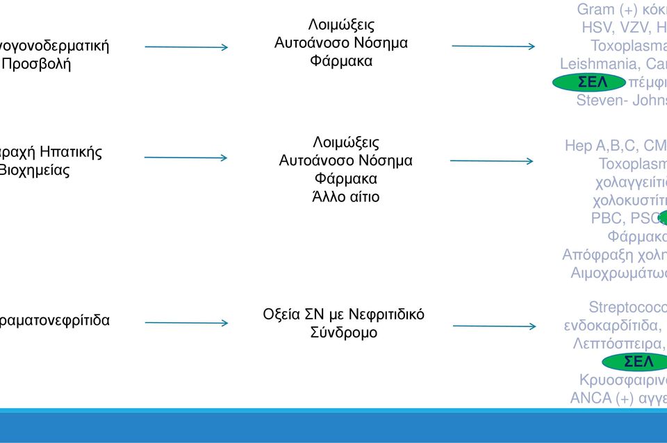 Νόσηµα Φάρµακα Άλλο αίτιο ΟξείαΣΝ µε Νεφριτιδικό Σύνδροµο Hep A,B,C, CM Toxoplasm χολαγγειίτιδ