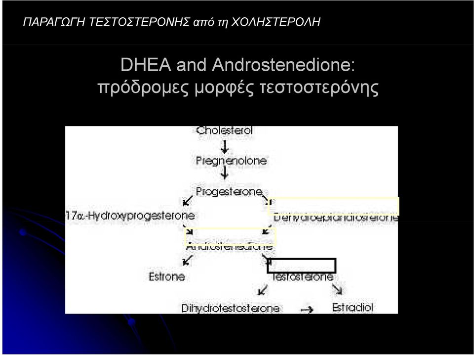 and Androstenedione: