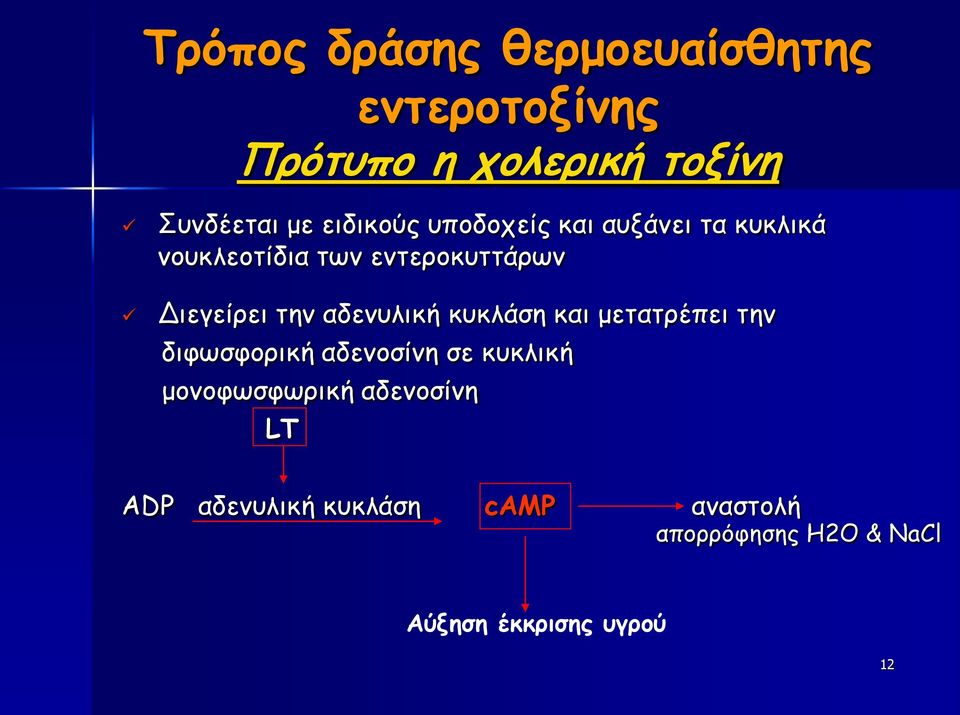 αδενυλική κυκλάση και μετατρέπει την διφωσφορική αδενοσίνη σε κυκλική μονοφωσφωρική