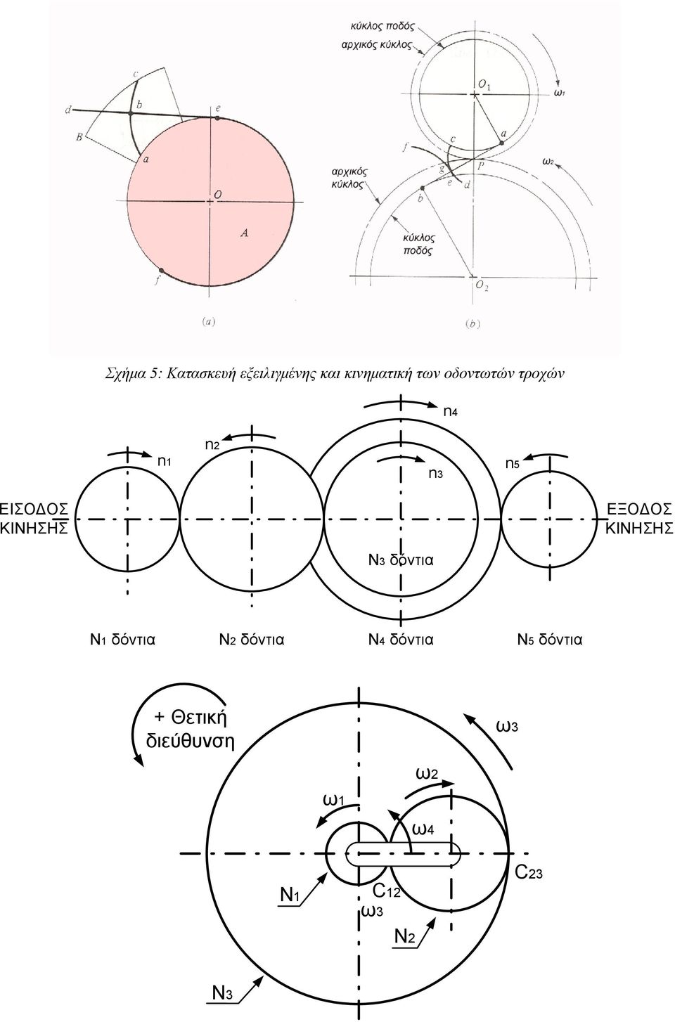ΕΞΟΔΟΣ ΚΙΝΗΣΗΣ N3 δόντια N1 δόντια N2 δόντια N4