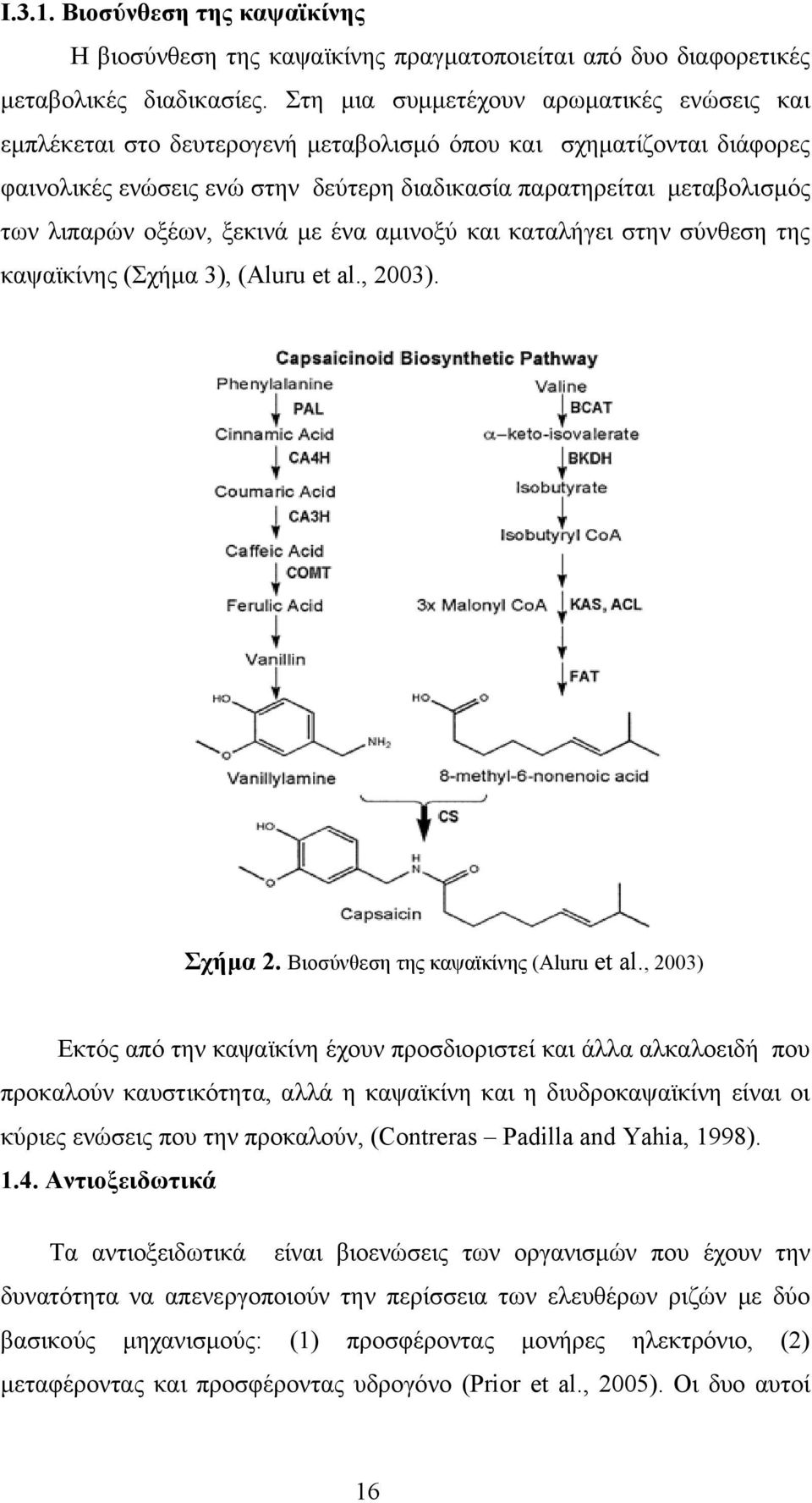 οξέων, ξεκινά με ένα αμινοξύ και καταλήγει στην σύνθεση της καψαϊκίνης (Σχήμα 3), (Aluru et al., 2003). Σχήμα 2. Βιοσύνθεση της καψαϊκίνης (Aluru et al.