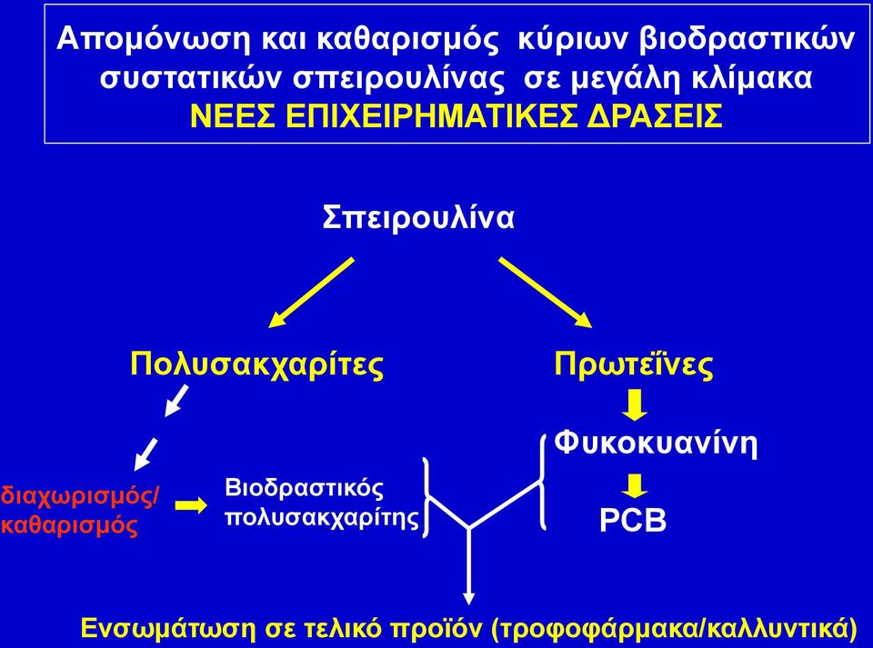 Πολυσακχαρίτες Πρωτεΐνες διαχωρισμός/ καθαρισμός Βιοδραστικός