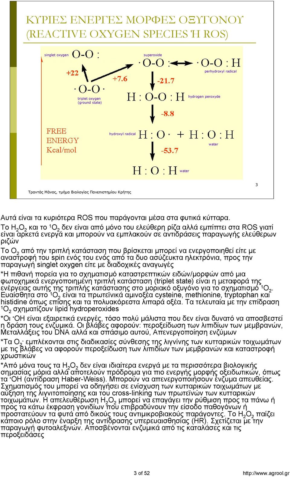 Το Η 2 Ο 2 και το 1 Ο 2 δεν είναι από μόνο του ελεύθερη ρίζα αλλά εμπίπτει στα ROS γιατί είναι αρκετά ενεργά και μπορούν να εμπλακούν σε αντιδράσεις παραγωγής ελεύθερων ριζών Το Ο 2 από την τριπλή