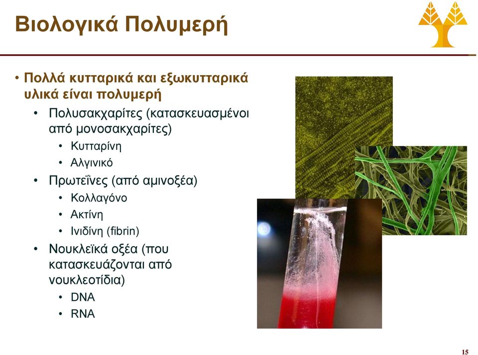 Κυτταρίνη Αλγινικό Πρωτεΐνες (από αμινοξέα) Κολλαγόνο Ακτίνη