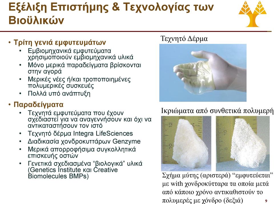 δέρμα Integra LifeSciences Διαδικασία χονδροκυττάρων Genzyme Μερικά απορροφήσιμα συγκολλητικά επισκευής οστών Γενετικά σχεδιασμένα βιολογικά υλικά (Genetics Institute και Creative