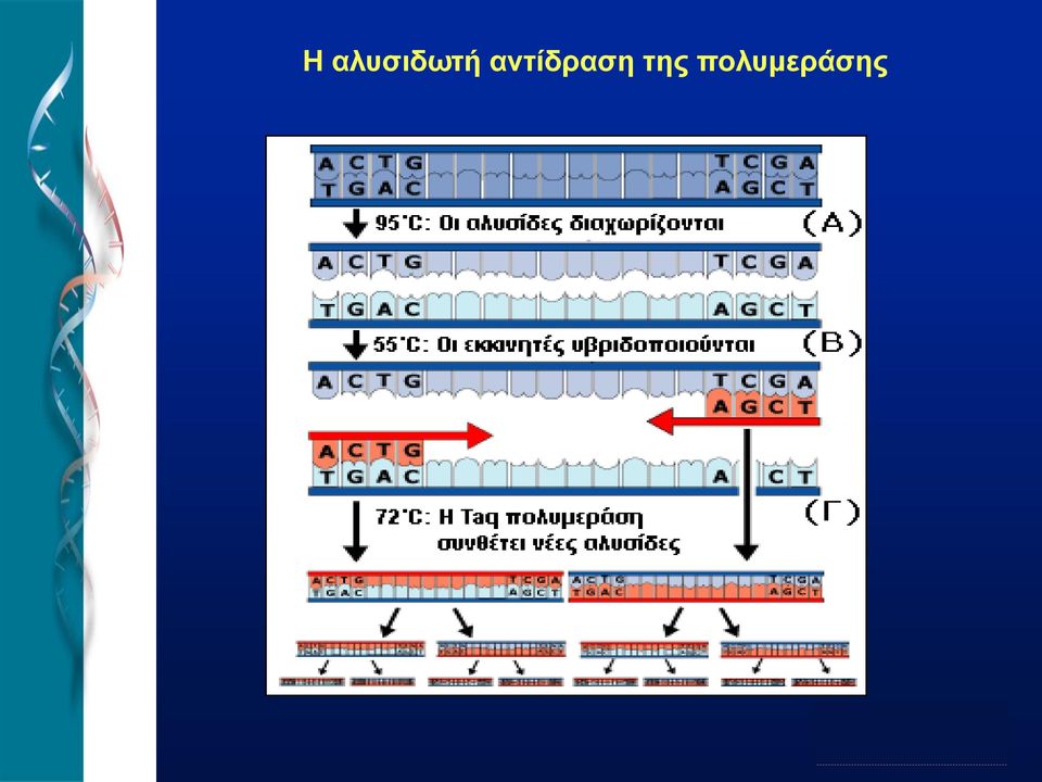 αντίδραση