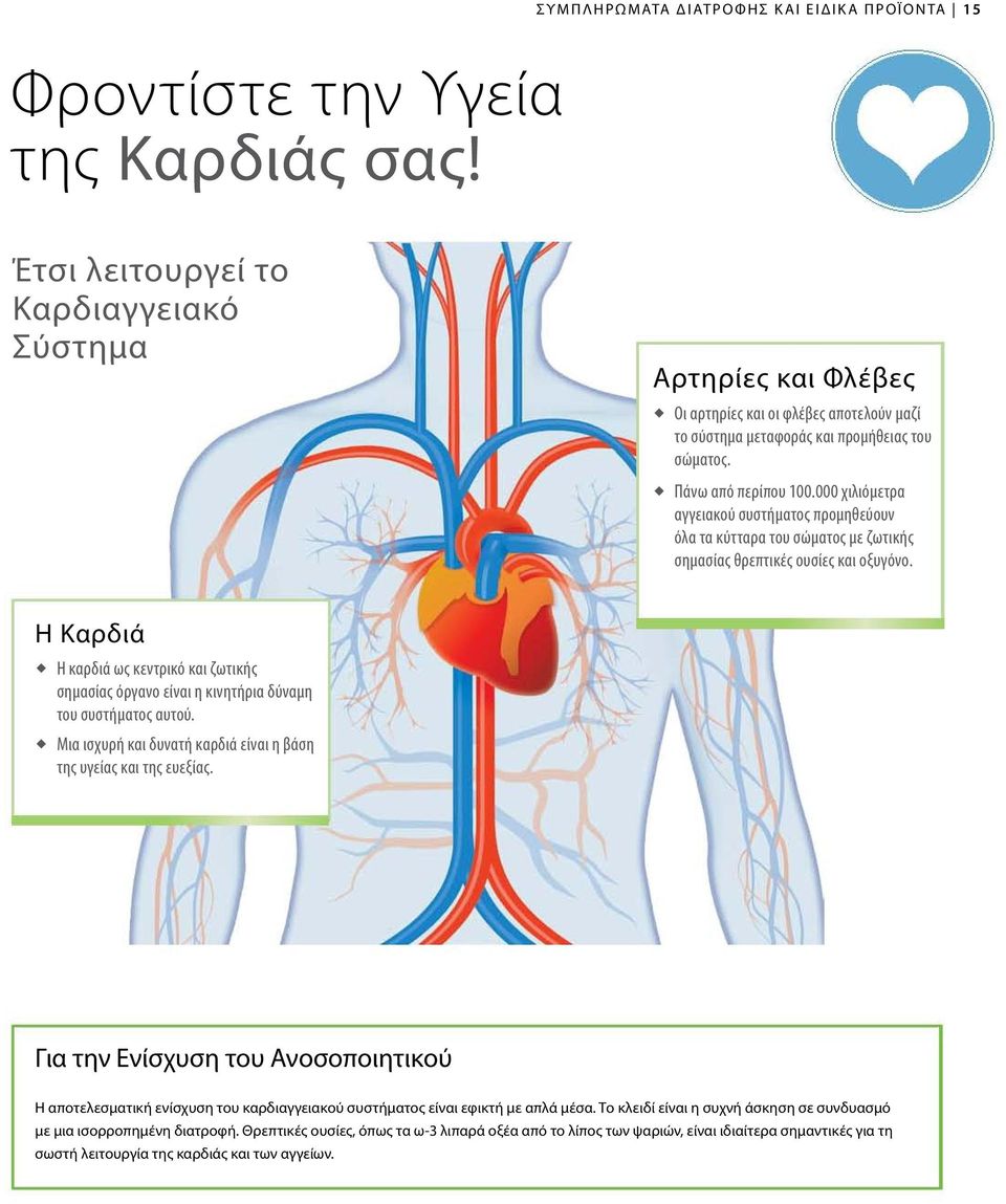 Πάνω από περίπου 100.000 χιλιόμετρα αγγειακού συστήματος προμηθεύουν όλα τα κύτταρα του σώματος με ζωτικής σημασίας θρεπτικές ουσίες και οξυγόνο.