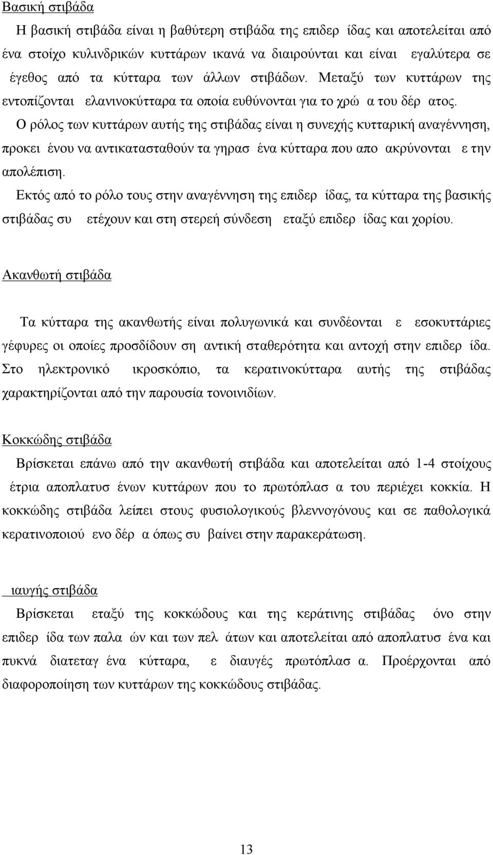 Ο ρόλος των κυττάρων αυτής της στιβάδας είναι η συνεχής κυτταρική αναγέννηση, προκειμένου να αντικατασταθούν τα γηρασμένα κύτταρα που απομακρύνονται με την απολέπιση.