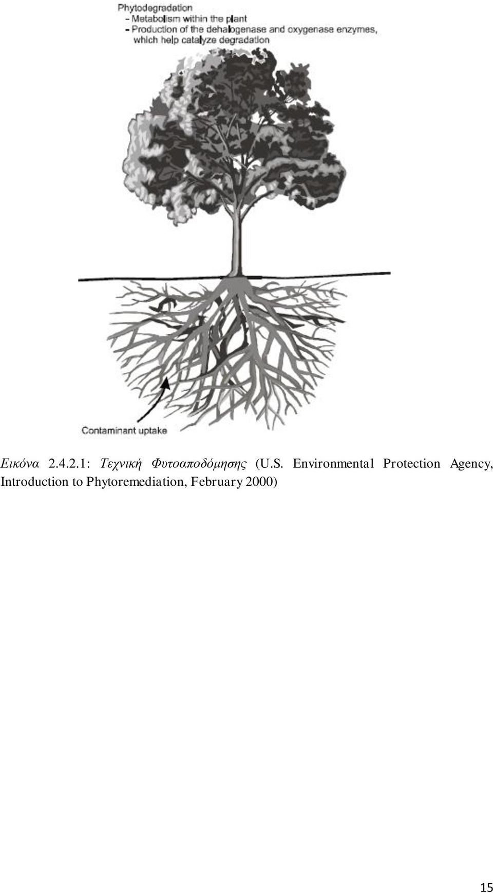 S. Environmental Protection