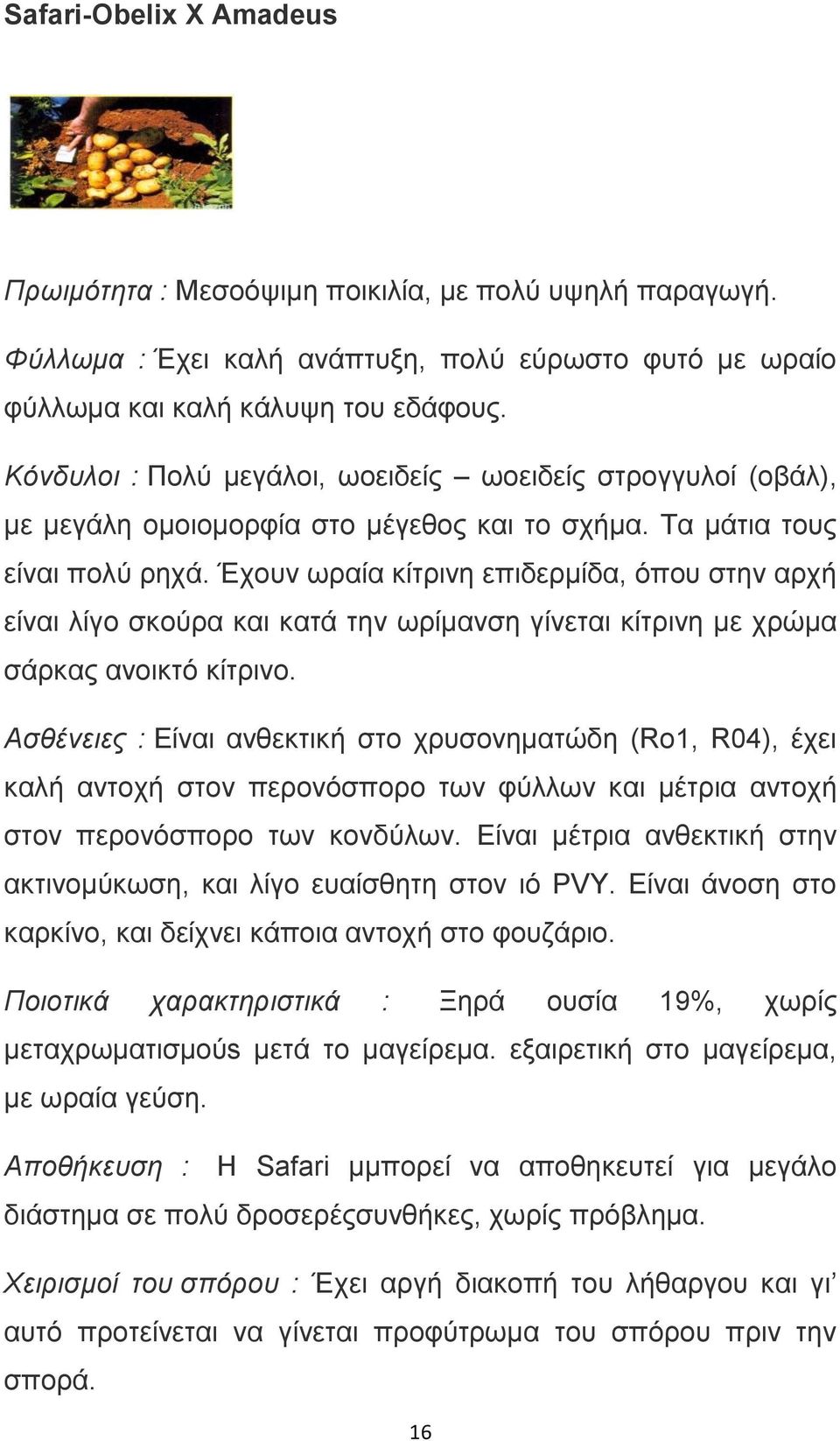 Έχουν ωραία κίτρινη επιδερμίδα, όπου στην αρχή είναι λίγο σκούρα και κατά την ωρίμανση γίνεται κίτρινη µε χρώμα σάρκας ανοικτό κίτρινο.