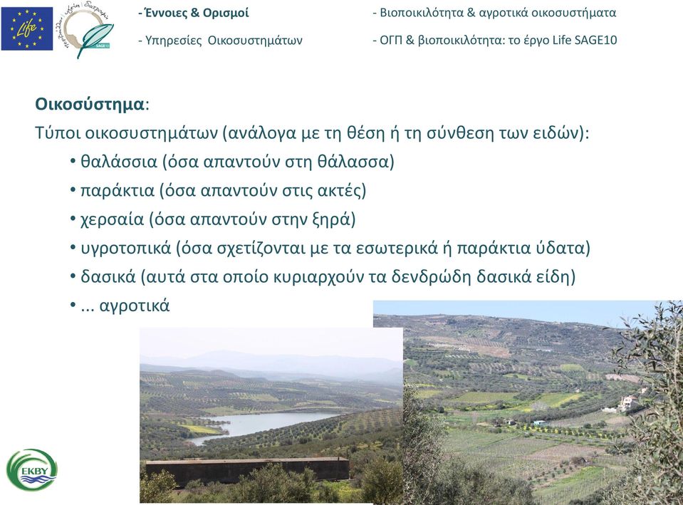 (όσα απαντούν στην ξηρά) υγροτοπικά (όσα σχετίζονται με τα εσωτερικά ή
