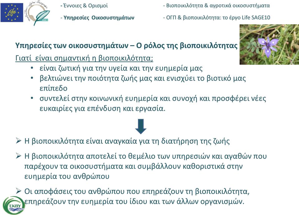 Η βιοποικιλότητα είναι αναγκαία για τη διατήρηση της ζωής Η βιοποικιλότητα αποτελεί το θεμέλιο των υπηρεσιών και αγαθών που παρέχουν τα οικοσυστήματα και