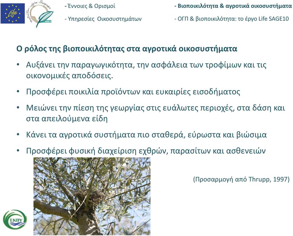 Προσφέρει ποικιλία προϊόντων και ευκαιρίες εισοδήματος Μειώνει την πίεση της γεωργίας στις ευάλωτες