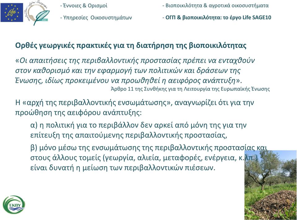 Άρθρο 11 της Συνθήκης για τη Λειτουργία της Ευρωπαϊκής Ένωσης Η «αρχή της περιβαλλοντικής ενσωμάτωσης», αναγνωρίζει ότι για την προώθηση της αειφόρου ανάπτυξης: α) η πολιτική