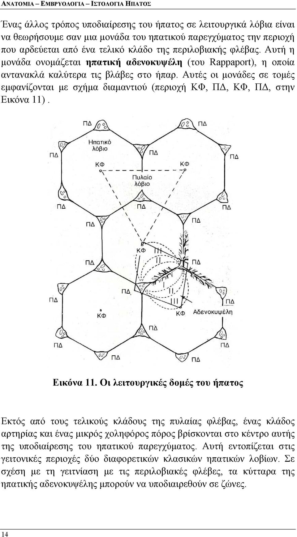 Αυτές οι μονάδες σε τομές εμφανίζονται με σχήμα διαμαντιού (περιοχή ΚΦ, ΠΔ, ΚΦ, ΠΔ, στην Εικόνα 11)