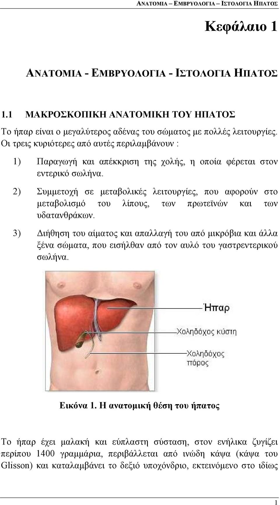 2) Συμμετοχή σε μεταβολικές λειτουργίες, που αφορούν στο μεταβολισμό του λίπους, των πρωτεϊνών και των υδατανθράκων.