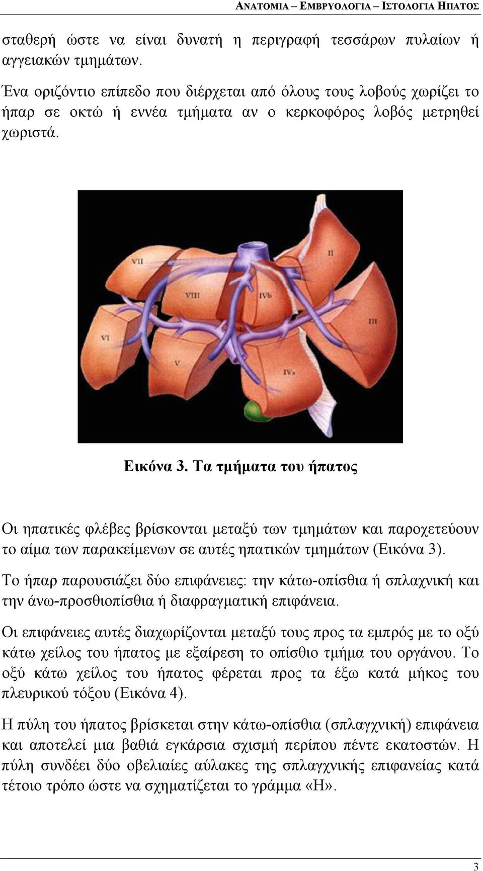 Τα τμήματα του ήπατος Οι ηπατικές φλέβες βρίσκονται μεταξύ των τμημάτων και παροχετεύουν το αίμα των παρακείμενων σε αυτές ηπατικών τμημάτων (Εικόνα 3).