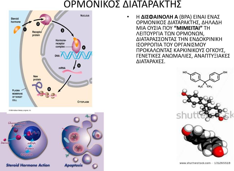 ΟΡΜΟΝΩΝ, ΔΙΑΤΑΡΑΣΣΟΝΤΑΣ ΤΗΝ ΕΝΔΟΚΡΙΝΙΚΗ ΙΣΟΡΡΟΠΙΑ ΤΟΥ ΟΡΓΑΝΙΣΜΟΥ