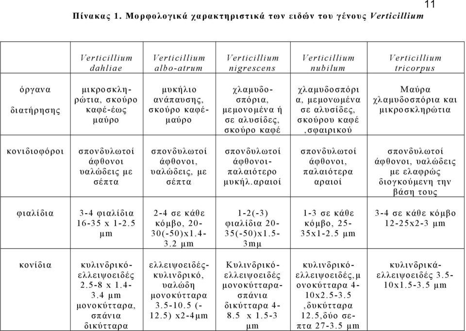 µικροσκληρώτια, σκούρο καφέ-έως µαύρο µυκήλιο ανάπαυσης, σκούρο καφέ- µαύρο χλαµυδοσπόρια, µεµονοµένα ή σε αλυσίδες, σκούρο καφέ χλαµυδοσπόρι α, µεµονωµένα σε αλυσίδες, σκούρου καφέ,σφαιρικού Μαύρα