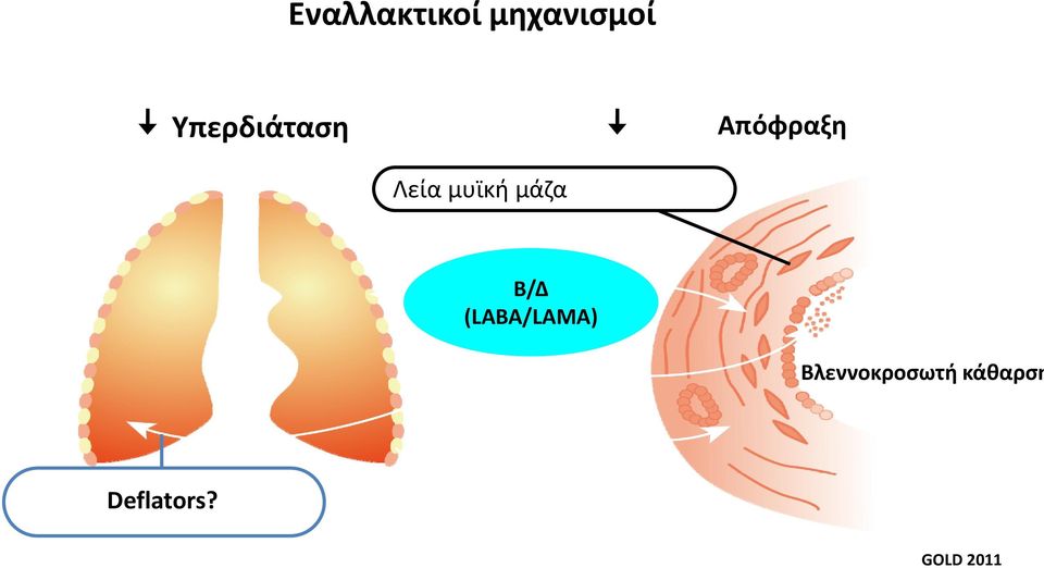 μυϊκή μάζα Β/Δ (LABA/LAMA)