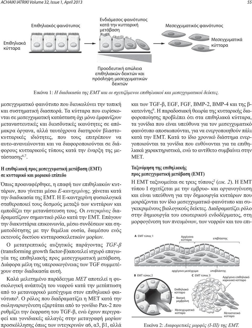 Ταξινόμηση της επιθηλιακής προς μεσεγχυματική μετάβαση (ΕΜΤ) Η EMT ταξινομείται σε τρεις τύπους 2 (εικ. 2).