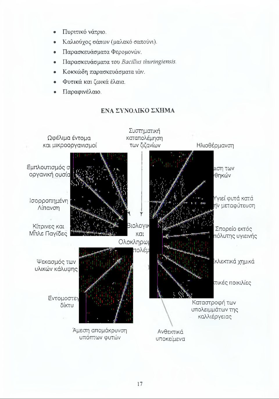 ΕΝΑ ΣΥΝΟΛΙΚΟ ΣΧΗΜΑ Ωφέλιμα έντομα και μικροοργανισμοί Συστηματική καταπολέμηση των ζιζανίων Ηλιοθέρμανση Εμπλουτισμός σε οργανική ουσία Ρύθμιση των συνθηκών Ισορροπημένη