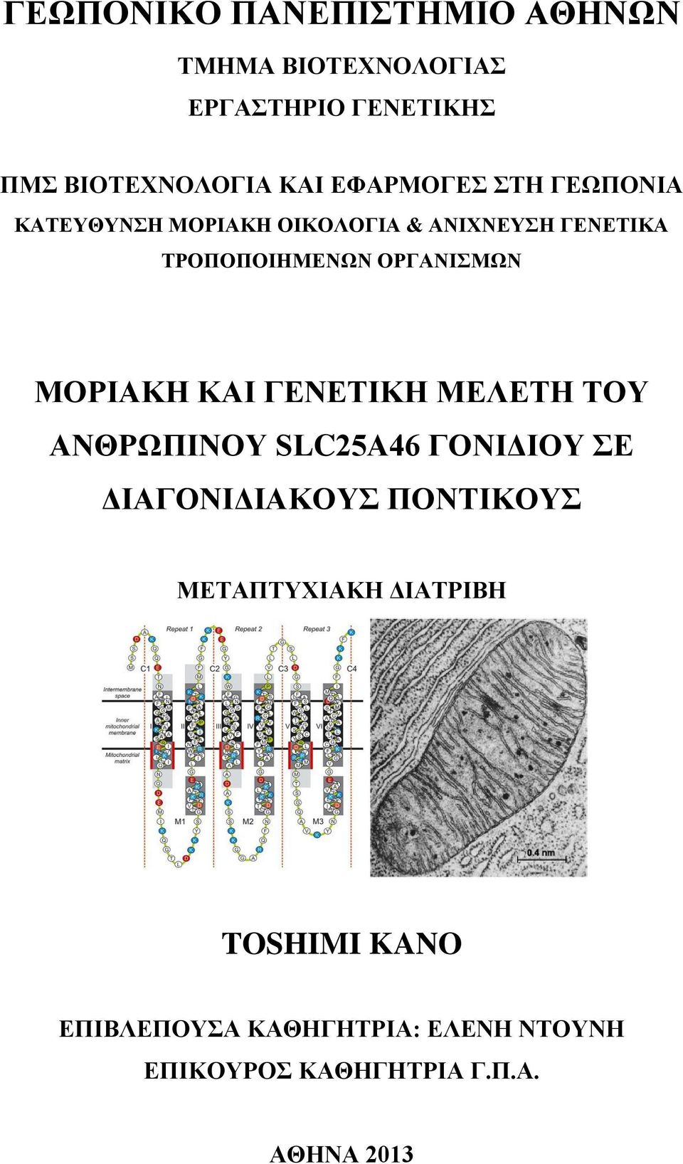 ΜΟΡΙΑΚΗ ΚΑΙ ΓΔΝΔΣΙΚΗ ΜΔΛΔΣΗ ΣΟΤ ΑΝΘΡΩΠΙΝΟΤ SLC25A46 ΓΟΝΙΓΙΟΤ Δ ΓΙΑΓΟΝΙΓΙΑΚΟΤ ΠΟΝΣΙΚΟΤ