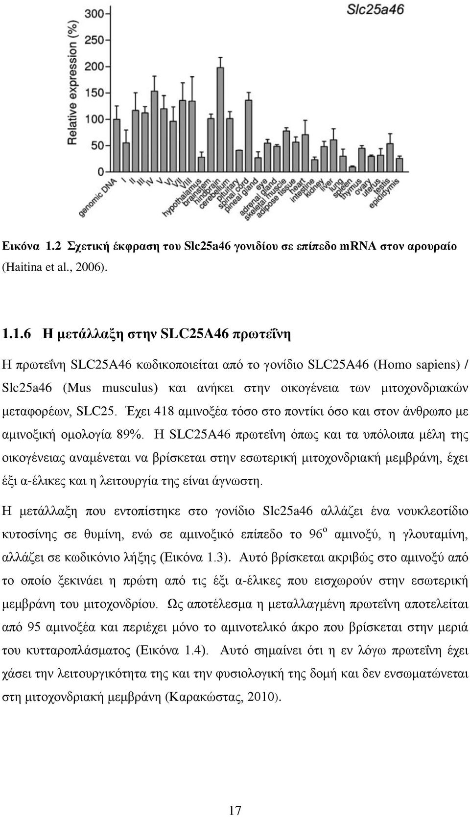 1.6 Η κεηάιιαμε ζηελ SLC25A46 πξσηεΐλε Ζ πξσηεΐλε SLC25A46 θσδηθνπνηείηαη από ην γνλίδην SLC25A46 (Homo sapiens) / Slc25a46 (Mus musculus) θαη αλήθεη ζηελ νηθνγέλεηα ησλ κηηνρνλδξηαθώλ κεηαθνξέσλ,