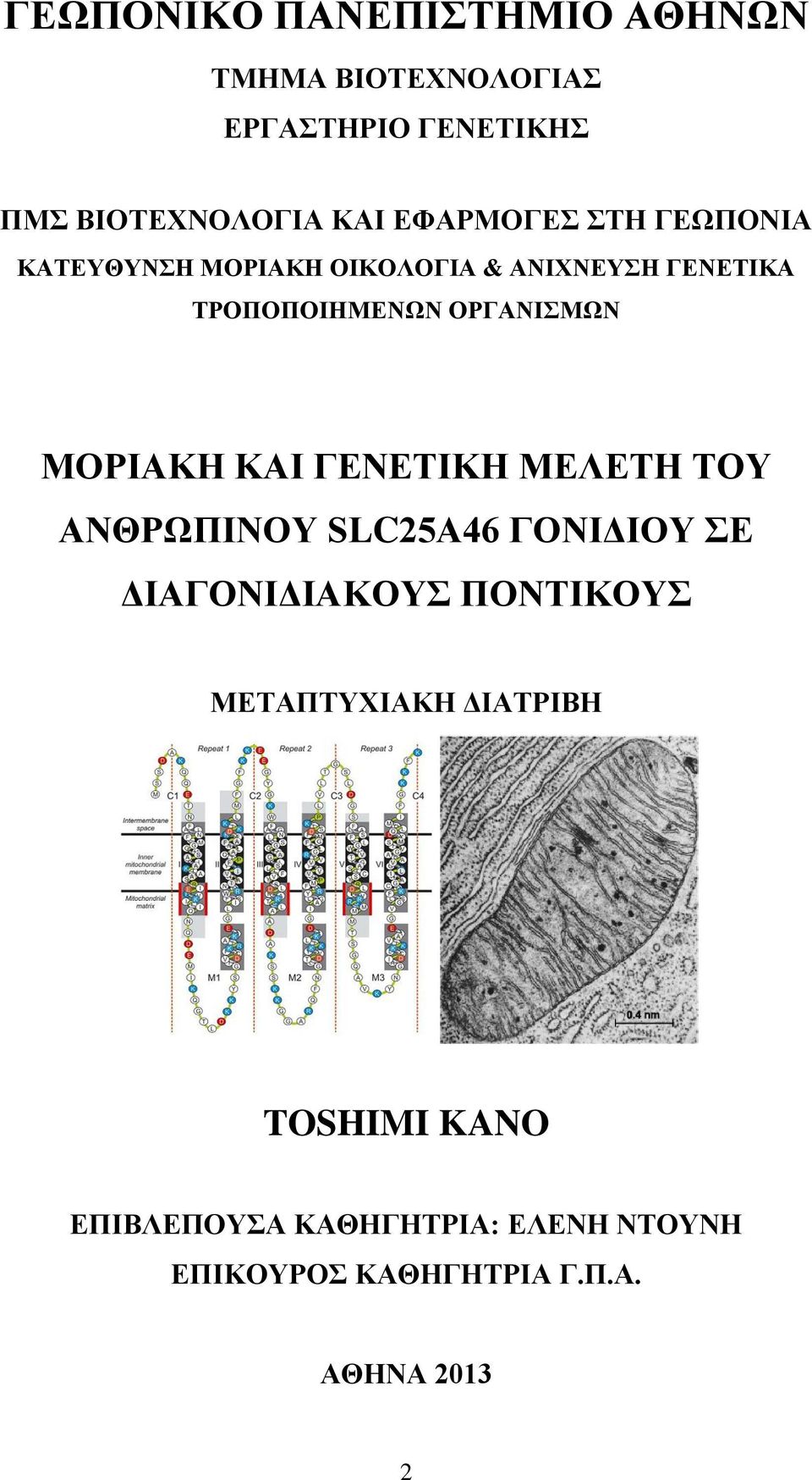 ΜΟΡΙΑΚΗ ΚΑΙ ΓΔΝΔΣΙΚΗ ΜΔΛΔΣΗ ΣΟΤ ΑΝΘΡΩΠΙΝΟΤ SLC25A46 ΓΟΝΙΓΙΟΤ Δ ΓΙΑΓΟΝΙΓΙΑΚΟΤ ΠΟΝΣΙΚΟΤ